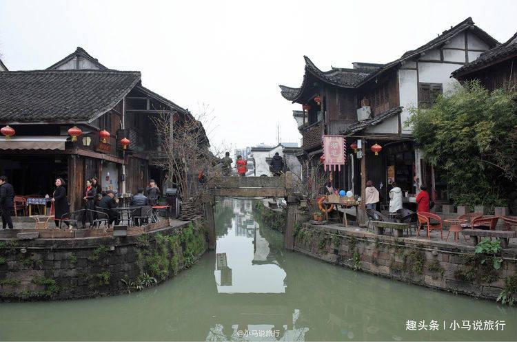 拯救小萌虎